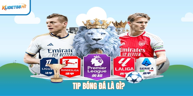 Apa itu Tip Bola Sepak